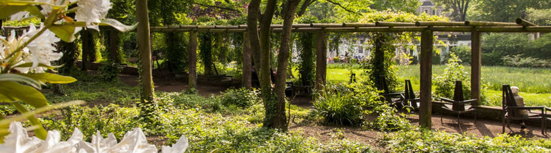 Botanischer Garten Duissern am Duisburg Live